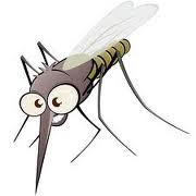 nyamuk